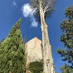 La Mandola *